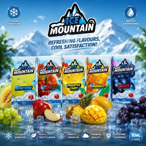 SALT NIC ICE MOUNTAIN 10ML