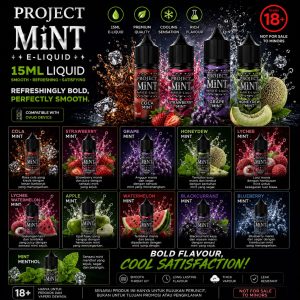 SALT NIC PROJECT MINT 15ML