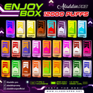 DISPOSABLE ALADDIN ENJOY BOX 12000 PUFFS